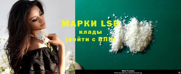 apvp Алзамай