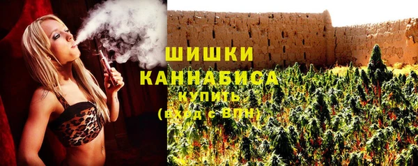 apvp Алзамай
