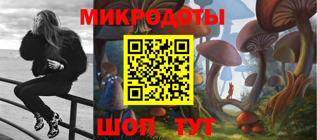 Апатиты  Галлюциногенные грибы GOLDEN TEACHER  Вход с VPN 